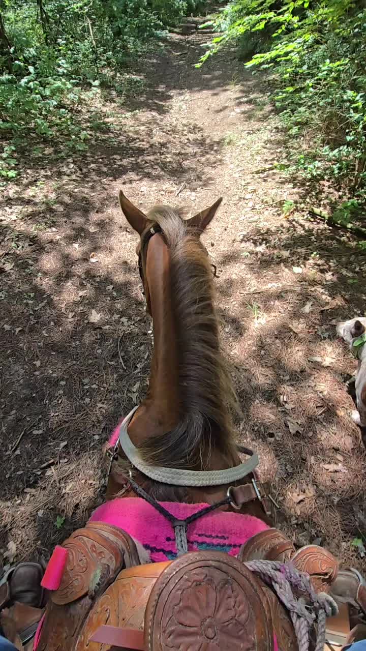 @Small Town Farm LLC