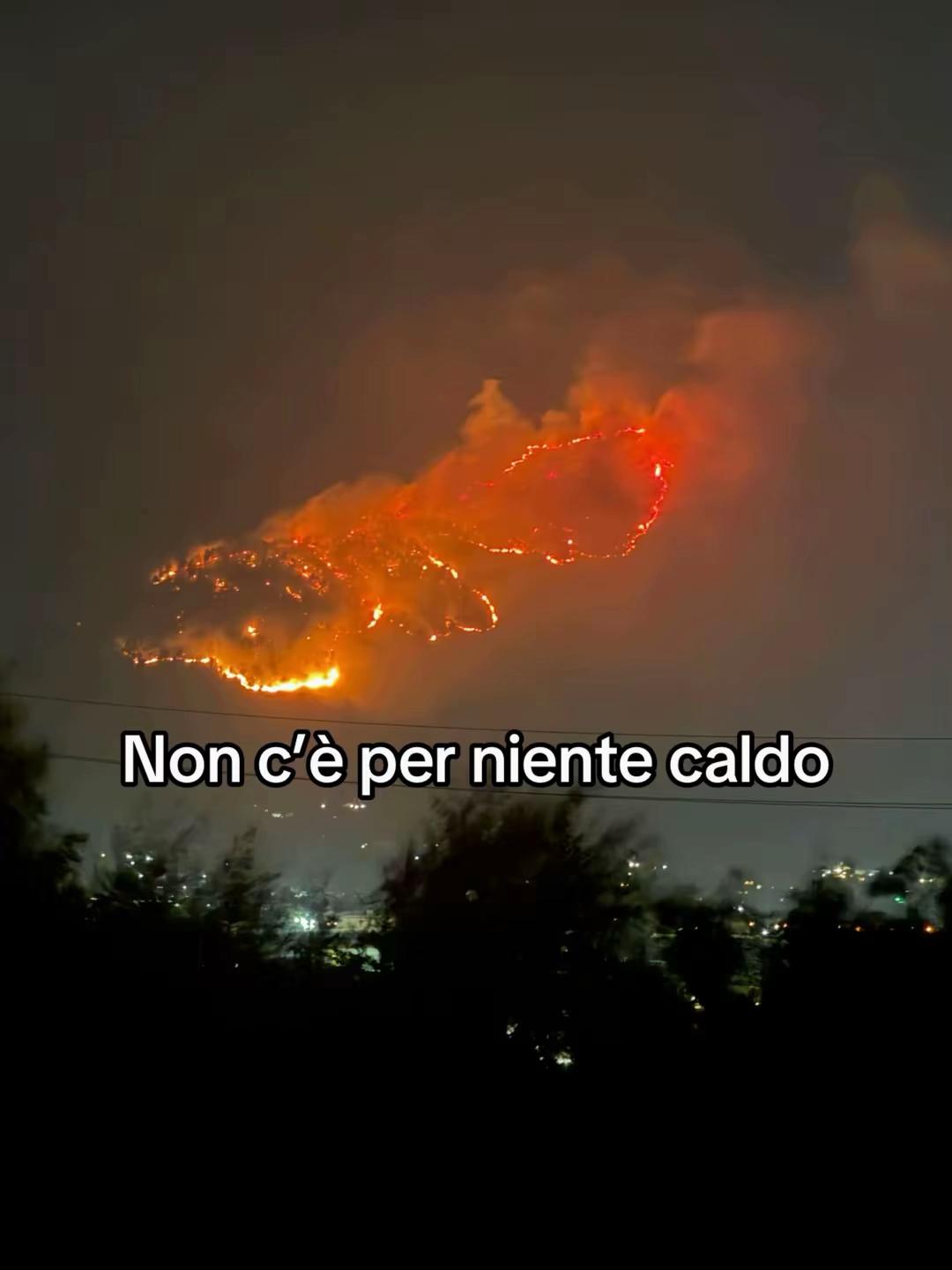 @Jessica Morabito
