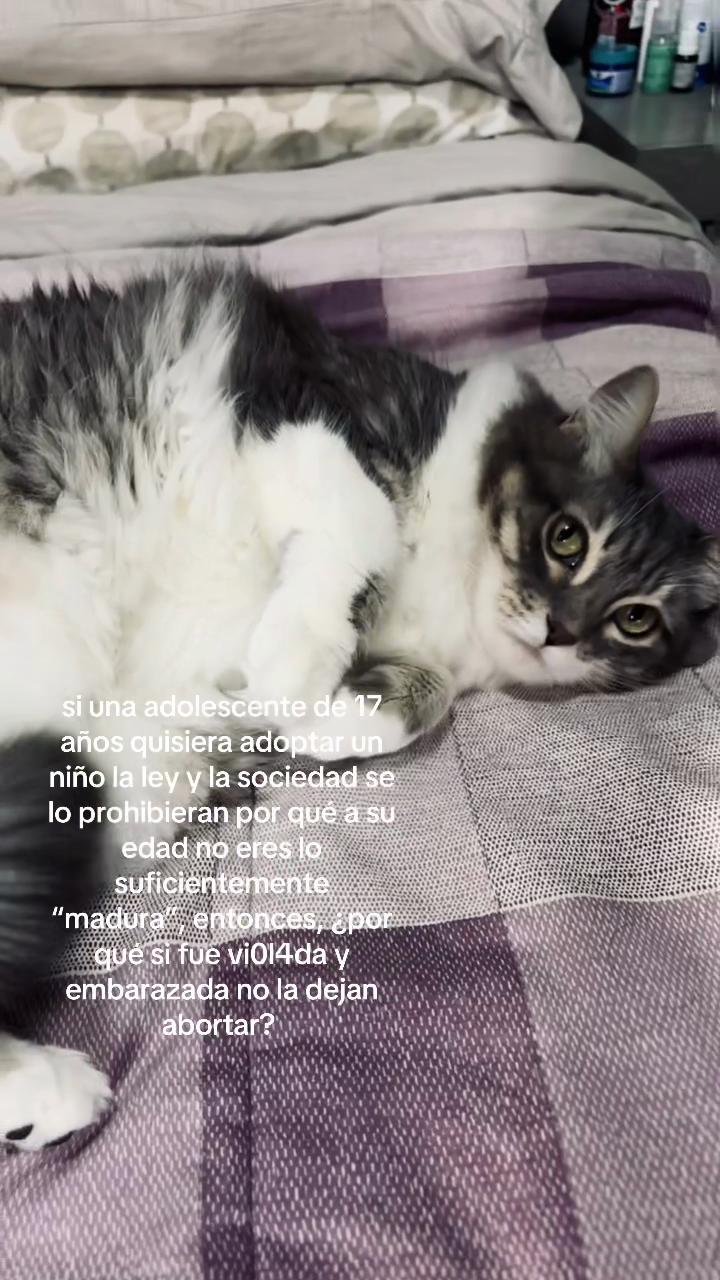 @🪷