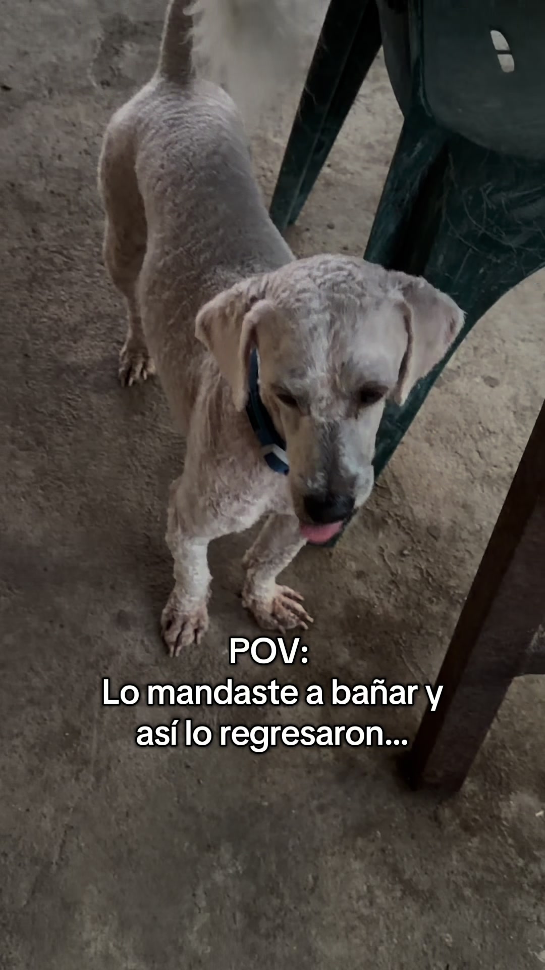 @Javier Urrutia