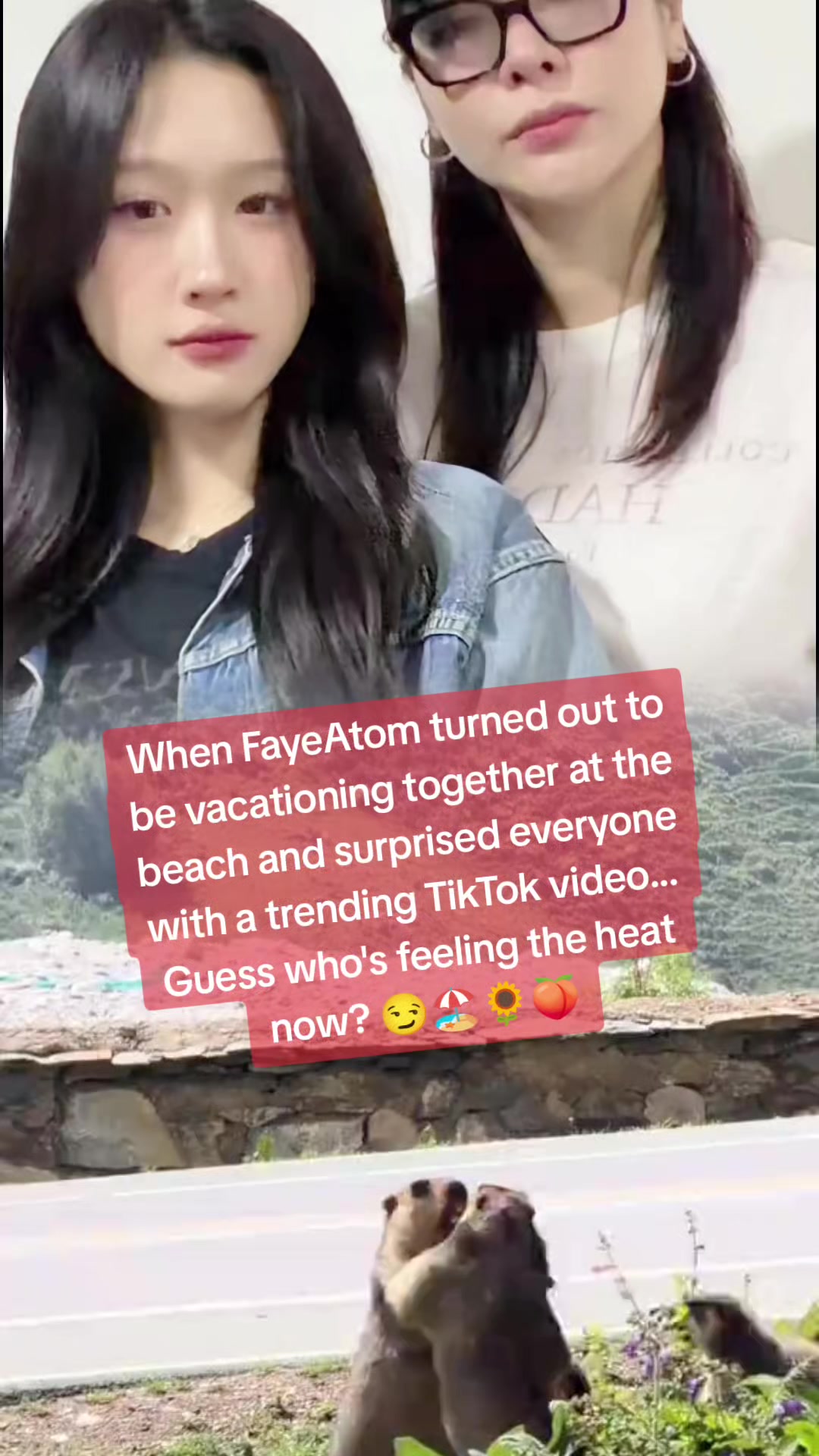 @alineforfaye.fan