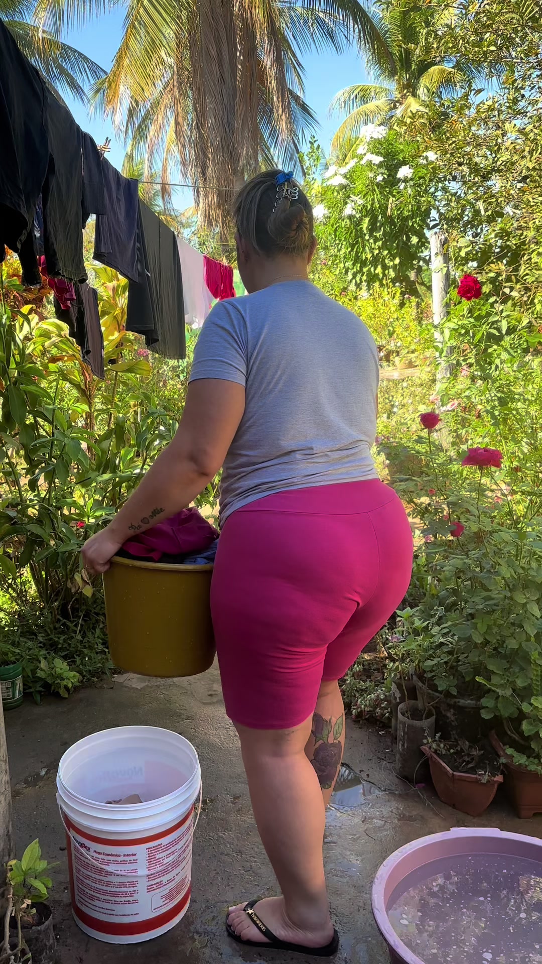 @dolarpravida