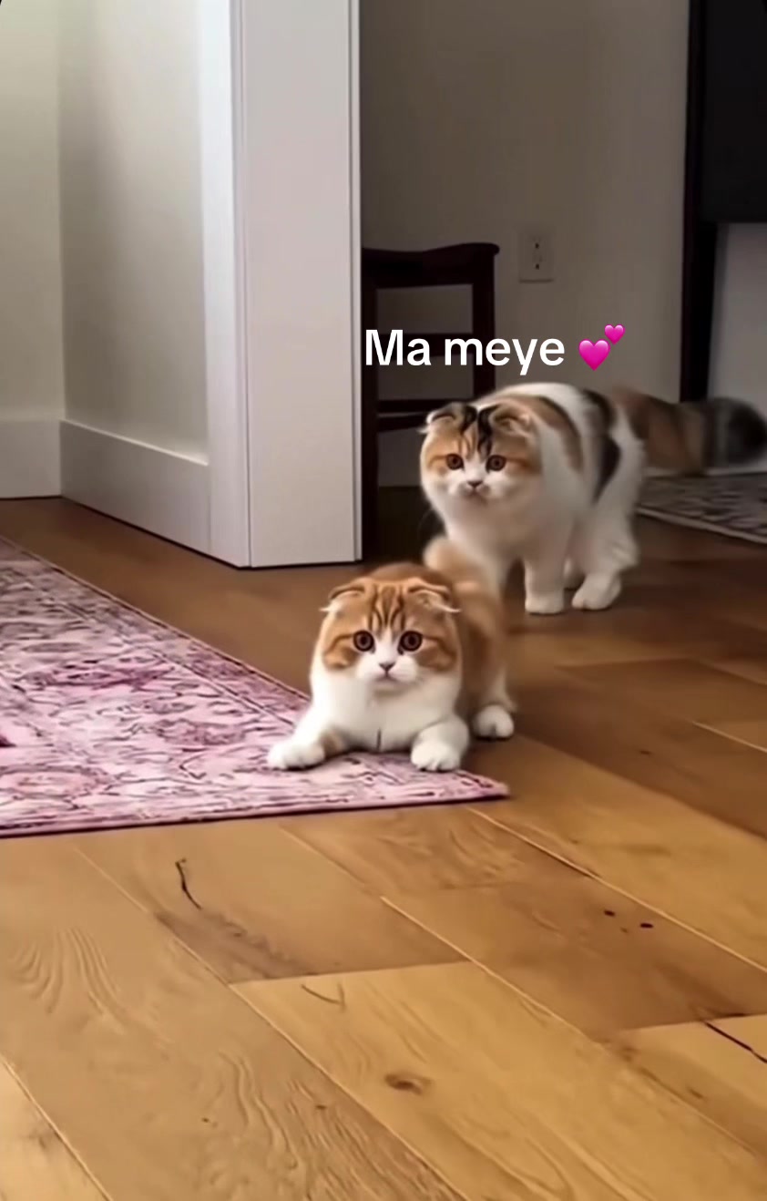 @Nilima