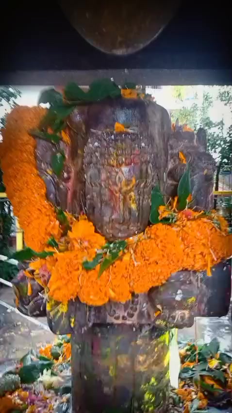 @Dipika ♡