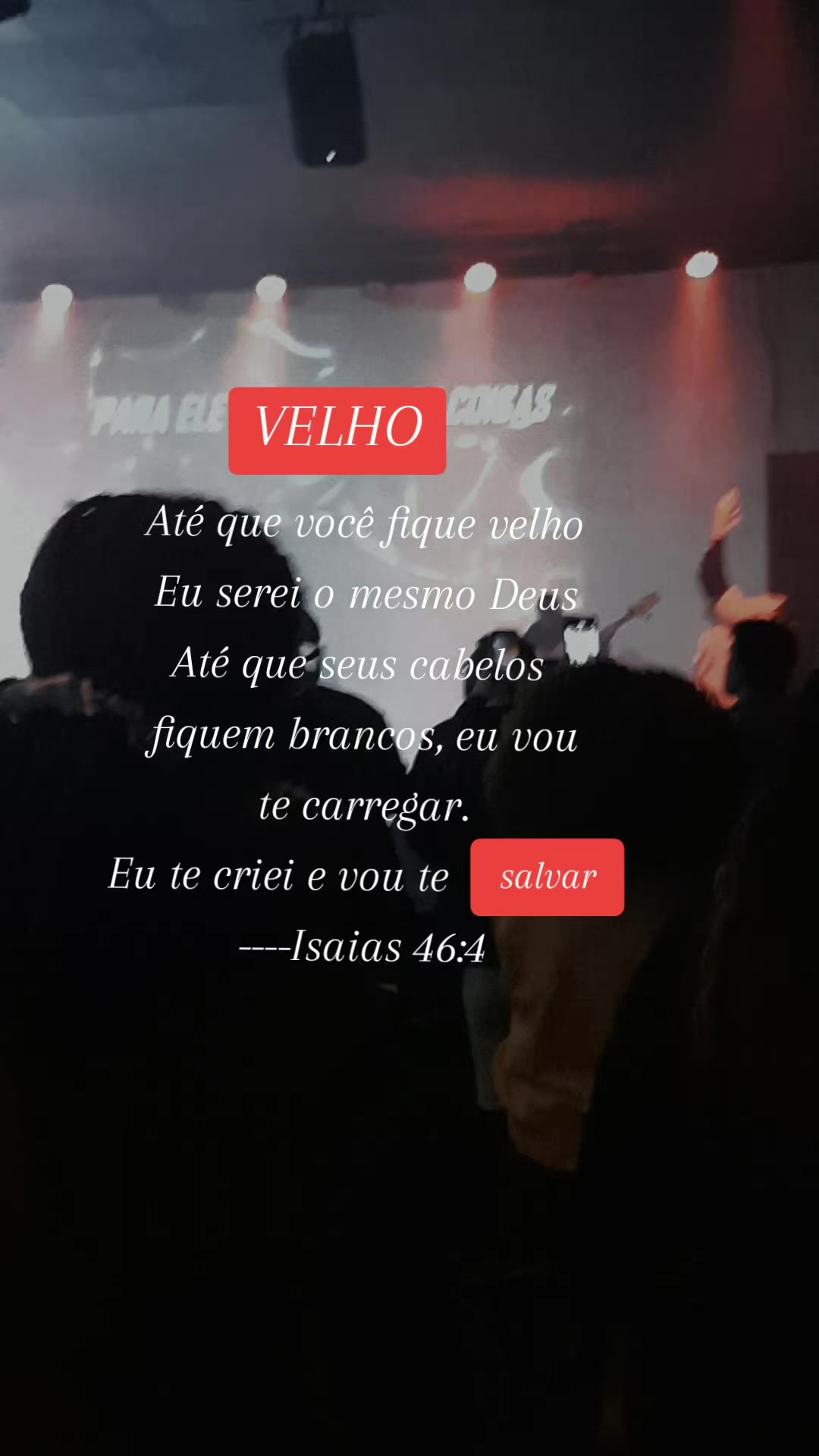 @Andreia Nogueira