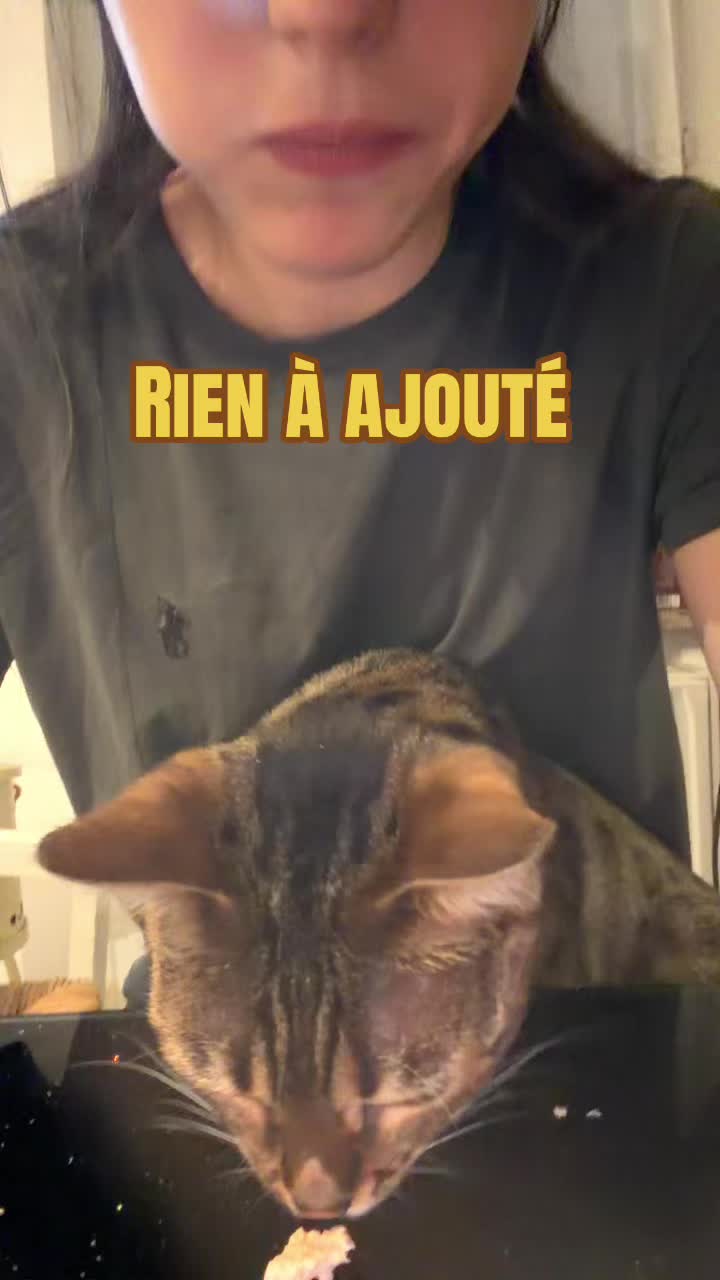 @𝓜𝓮𝓵𝓲𝓼