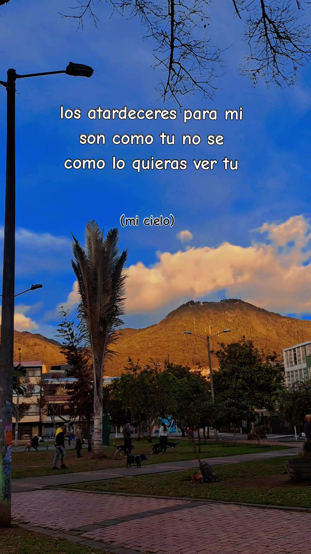 @🫧🥷🏽LAPILOTO521🌻🏍