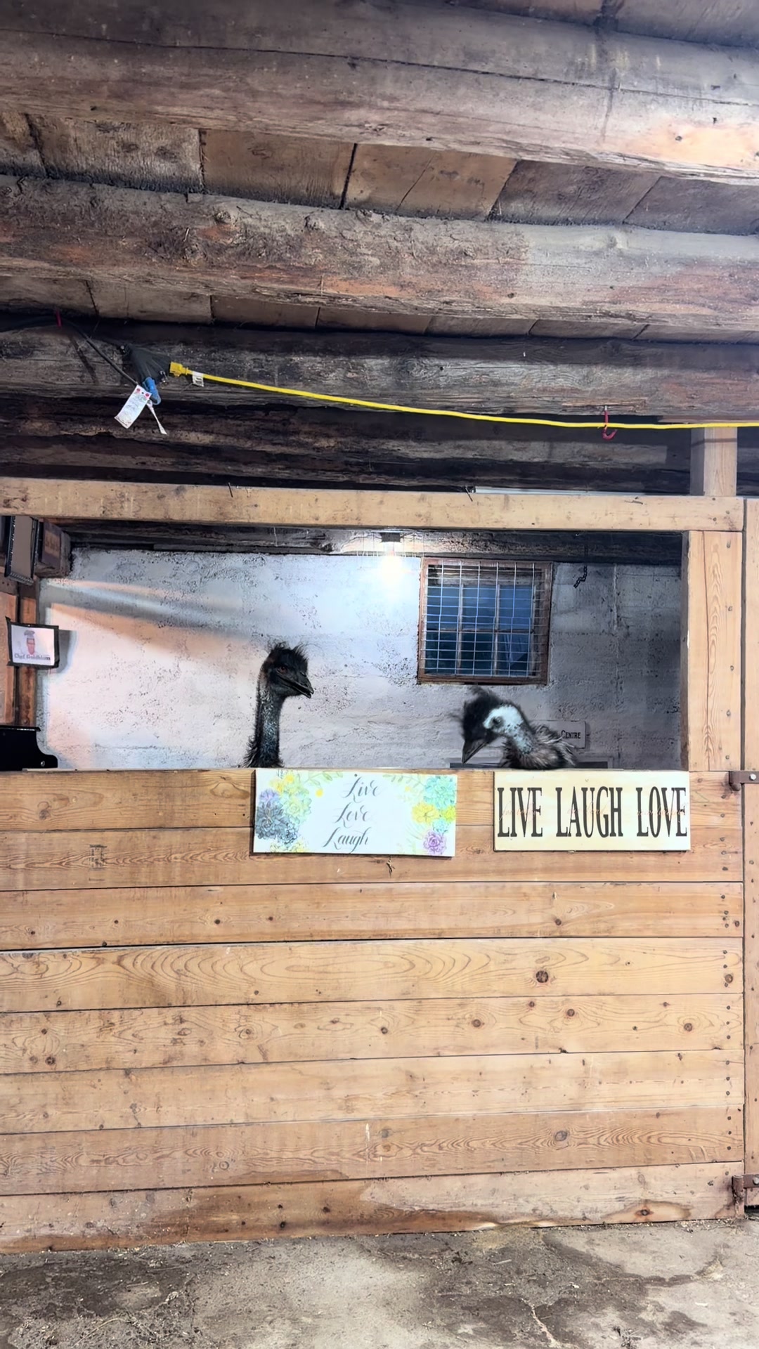 @Useless Farm