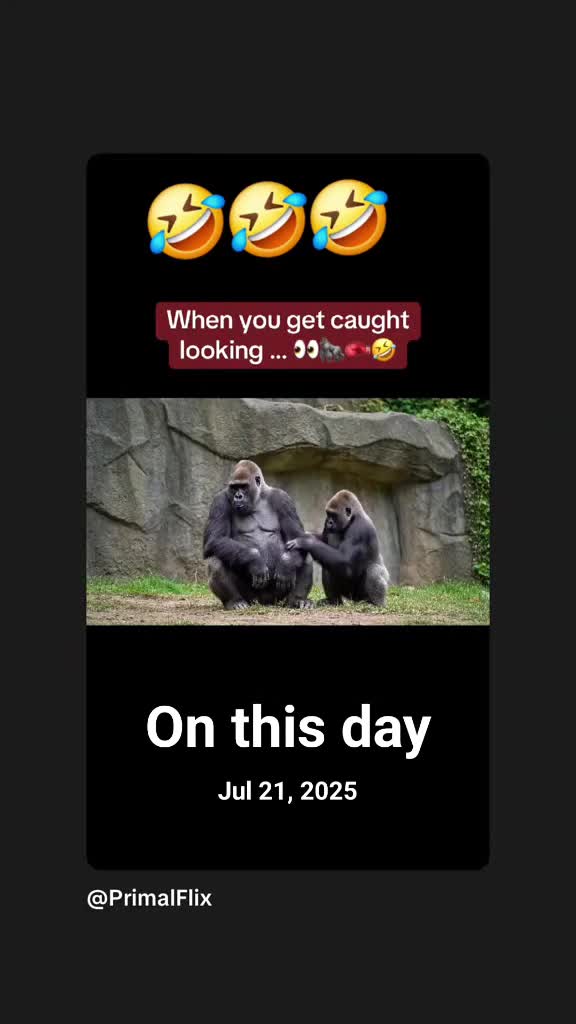 @😈😇