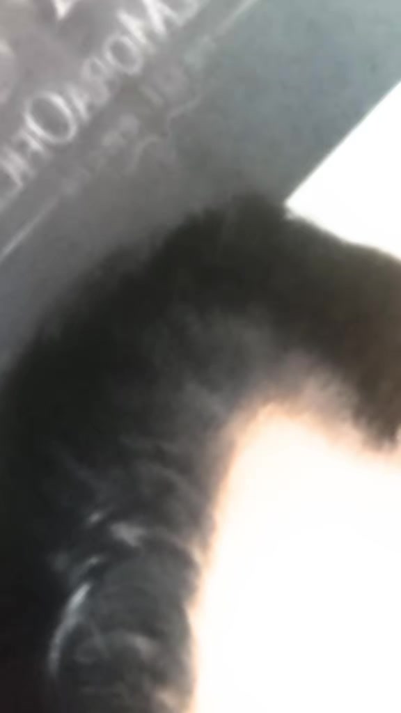 @WillMoraOficial