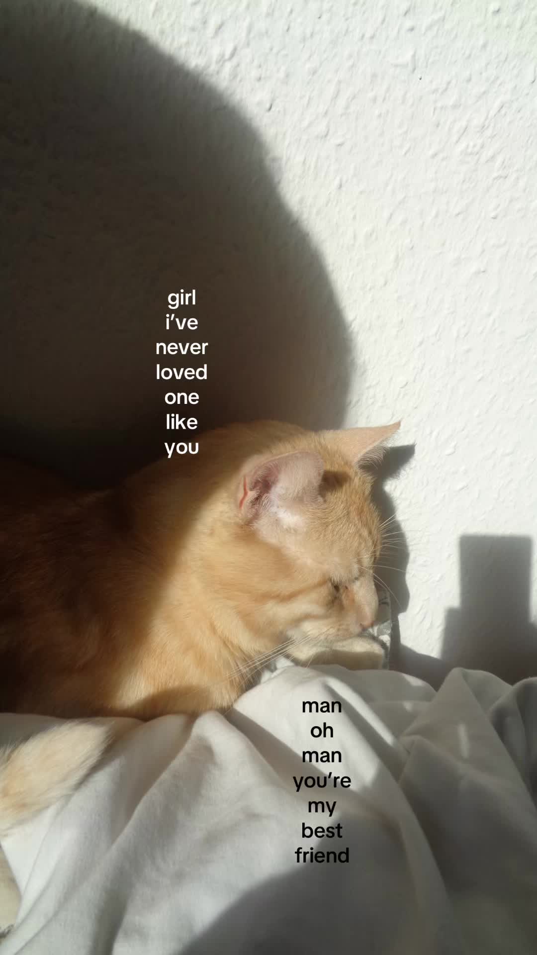@cha