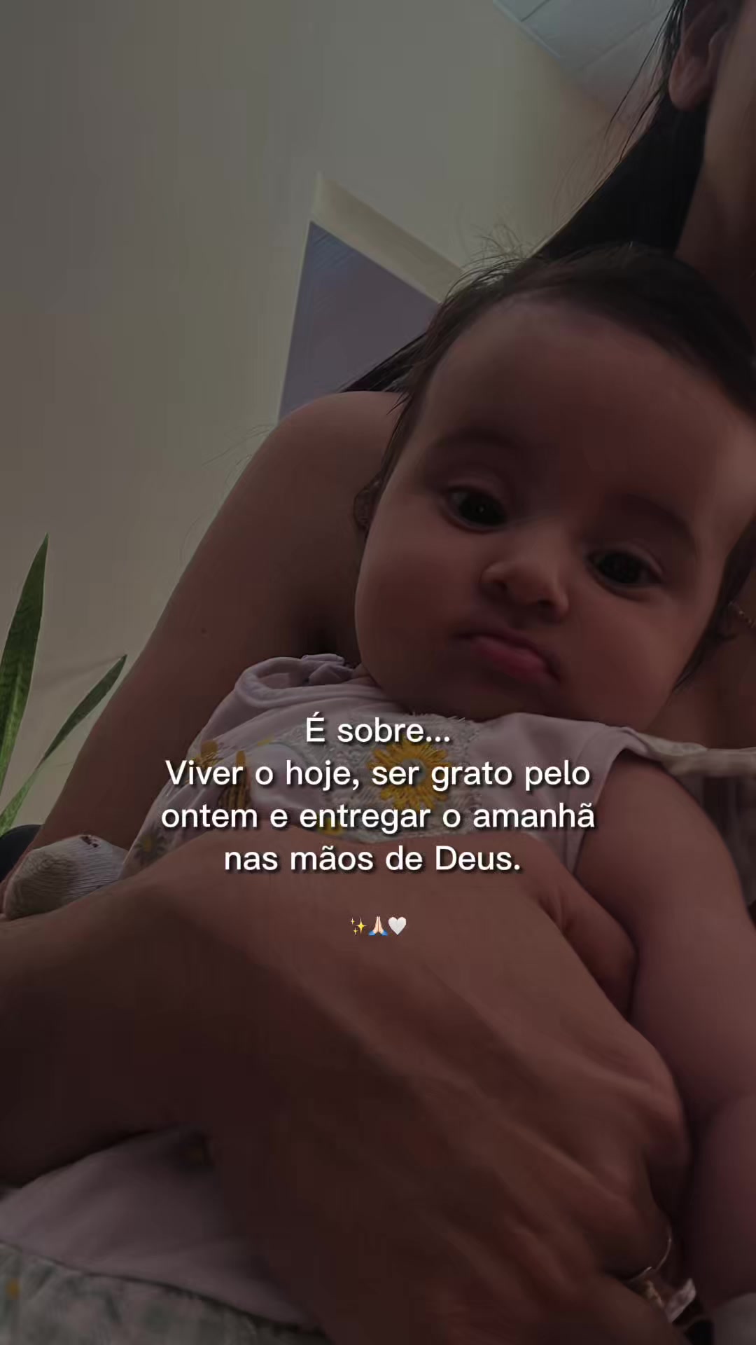 @Cristina Couto