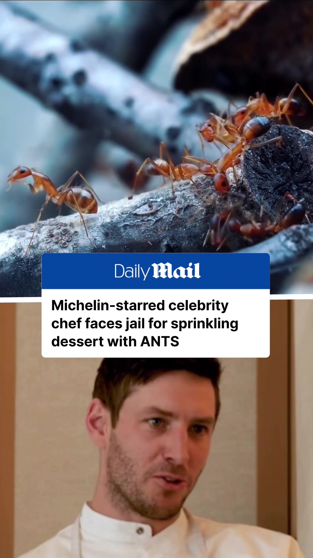 @Daily Mail Australia