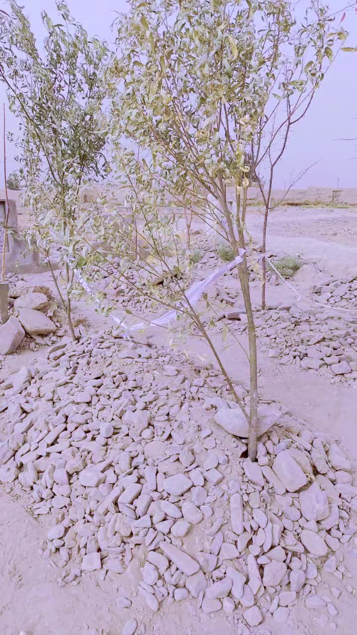 @Iqbal achakzai official