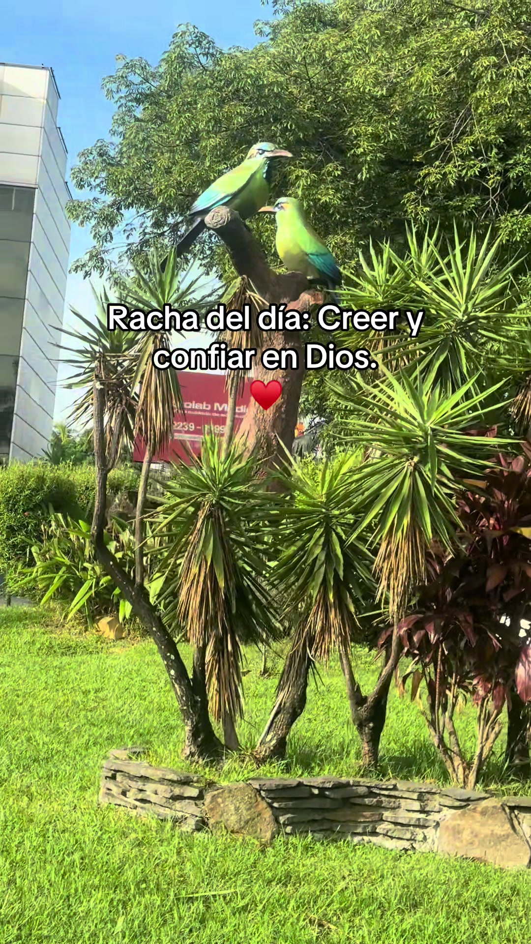 @Jessy Serrano
