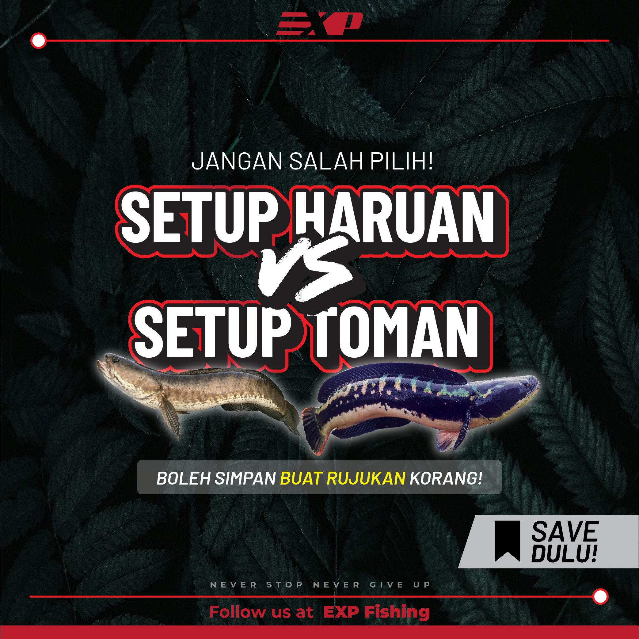 @EXP FISHING
