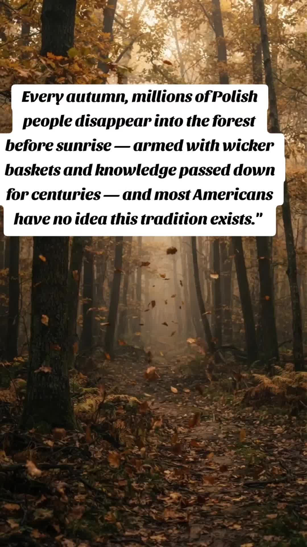 @Nobspolishheritage
