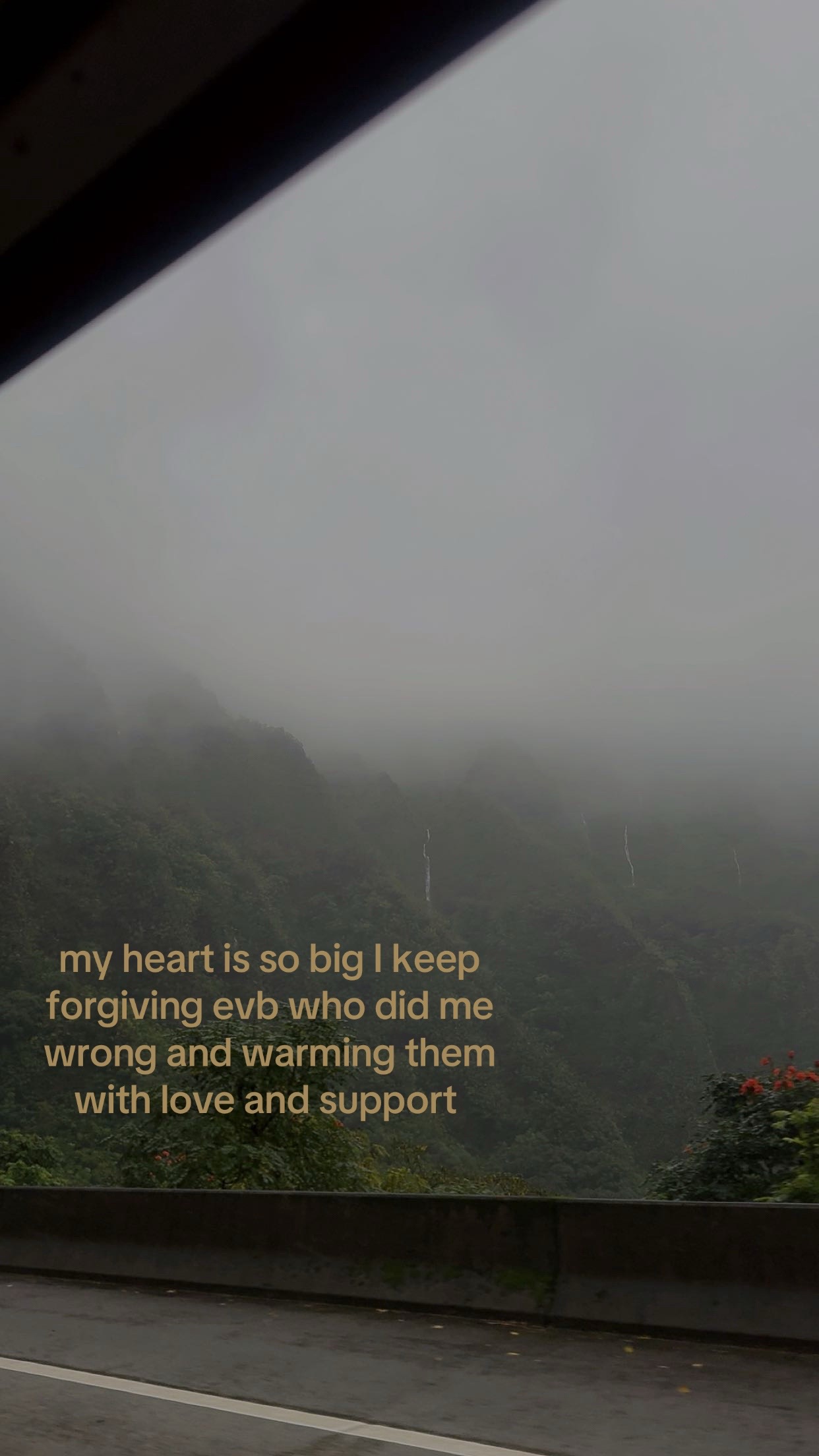 @zariah2464