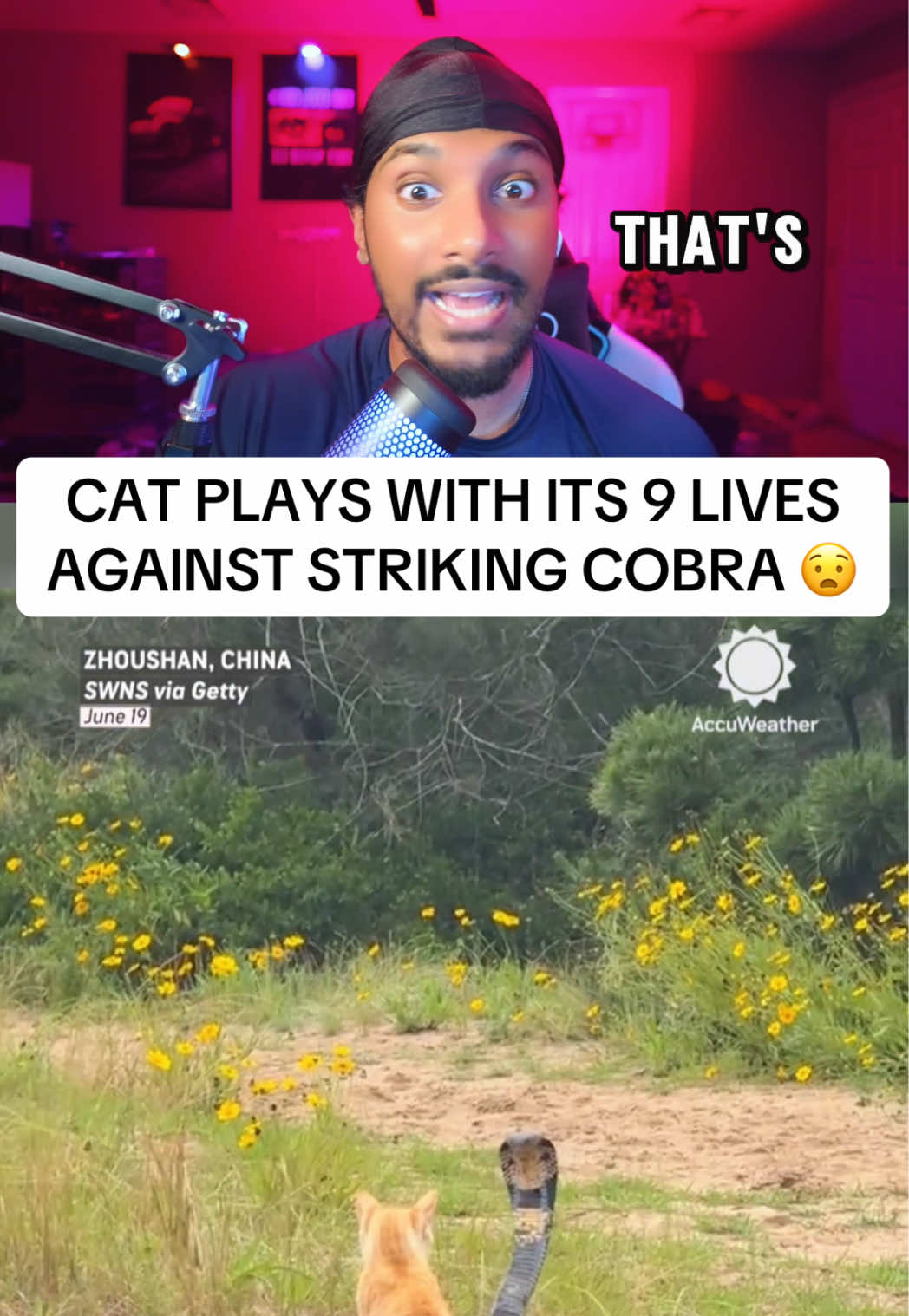 @Tiger