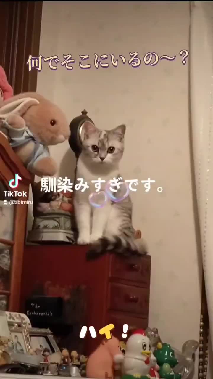 @くるくる8