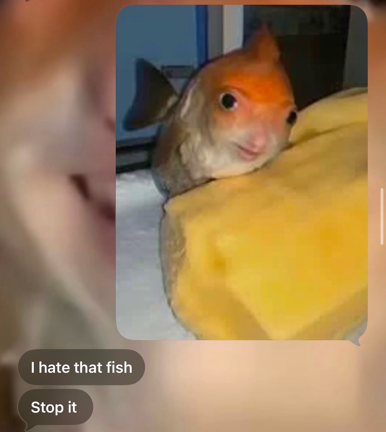 @nadia