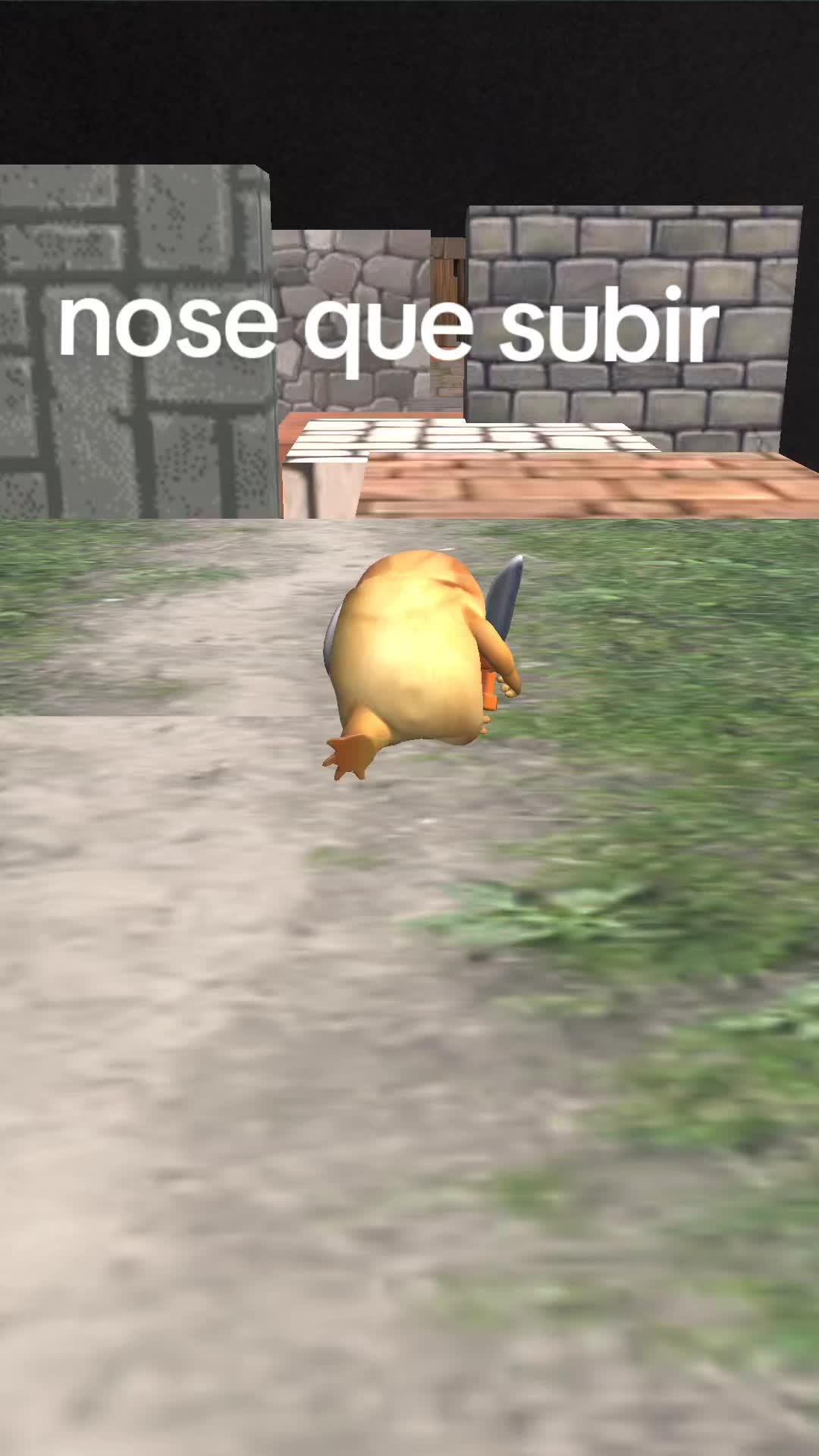 @soy focxitoyt