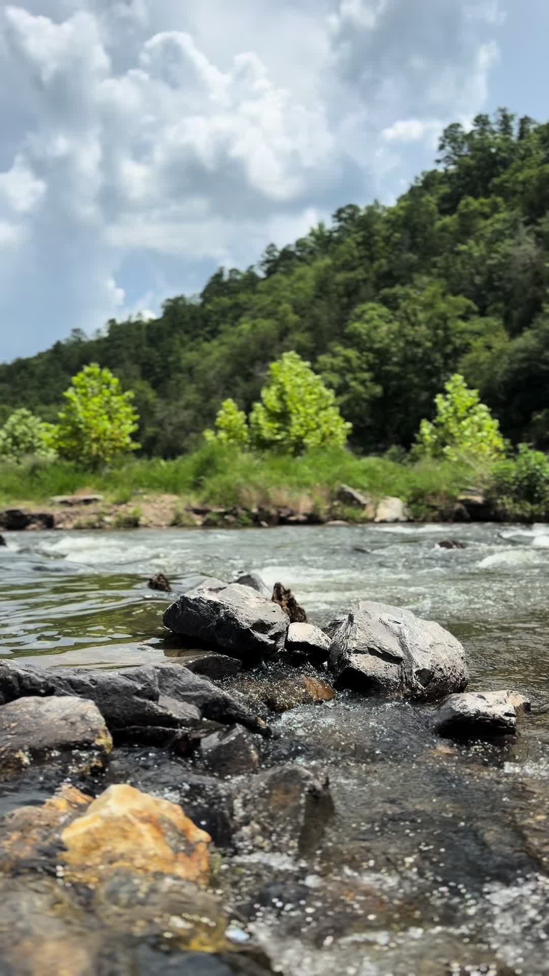 @Mr. Nepal