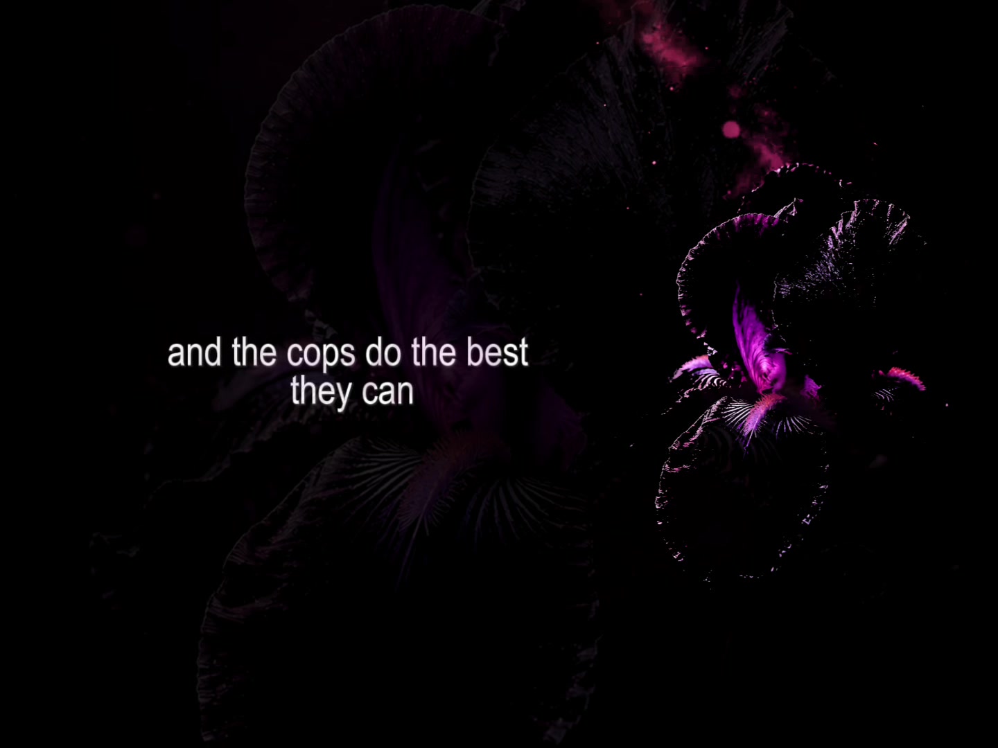 @speed songs | lyrics