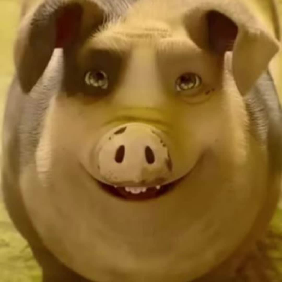@The ultimate Paul fan