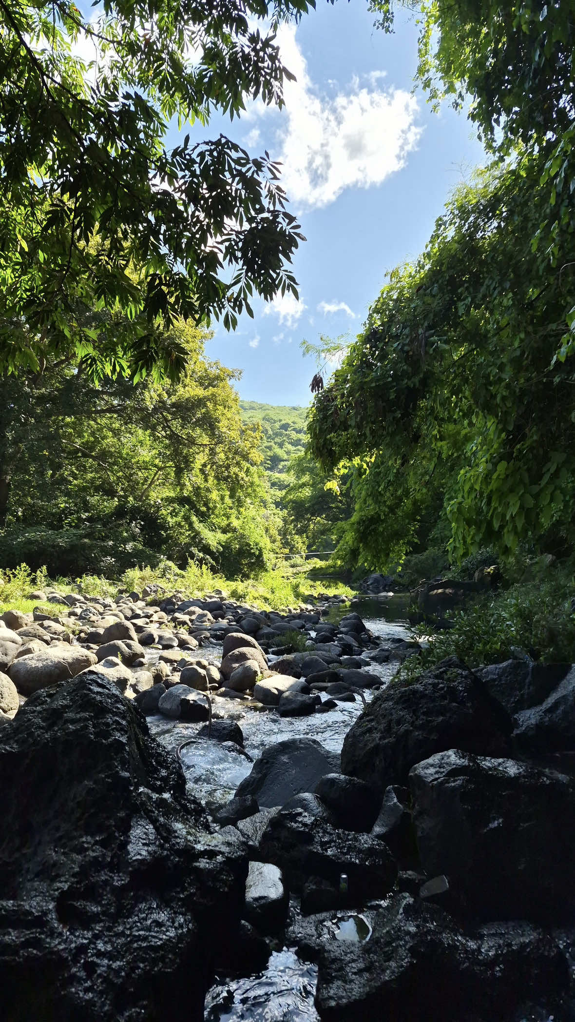 @Ni&ntilde;o Menta 🍃