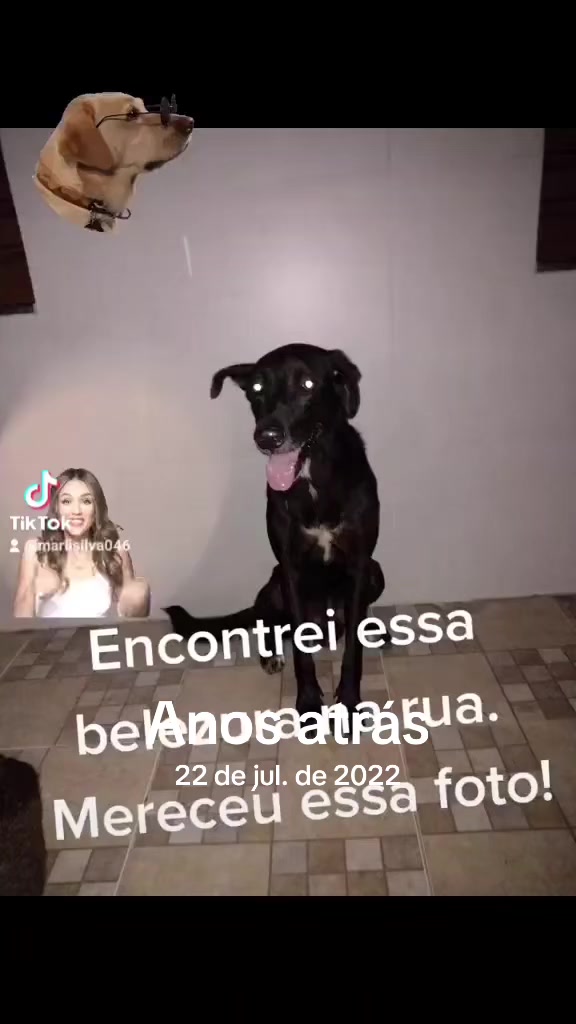 @#Bella#amais#bela.