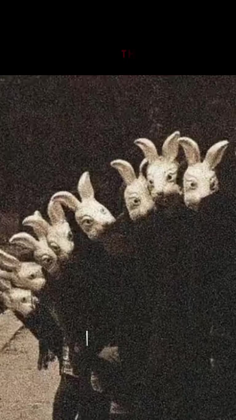 @𖦹ʙ𝒖𝒏𝒏𝒔 ☠︎︎