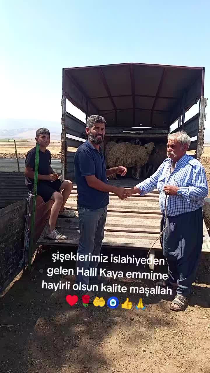 @İbrahim Erhan erhan