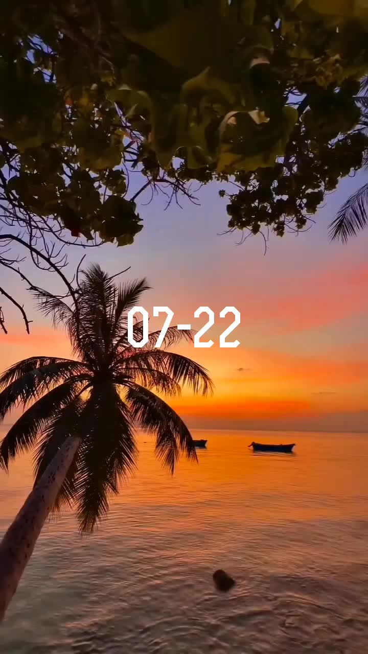 @Mr TikTok