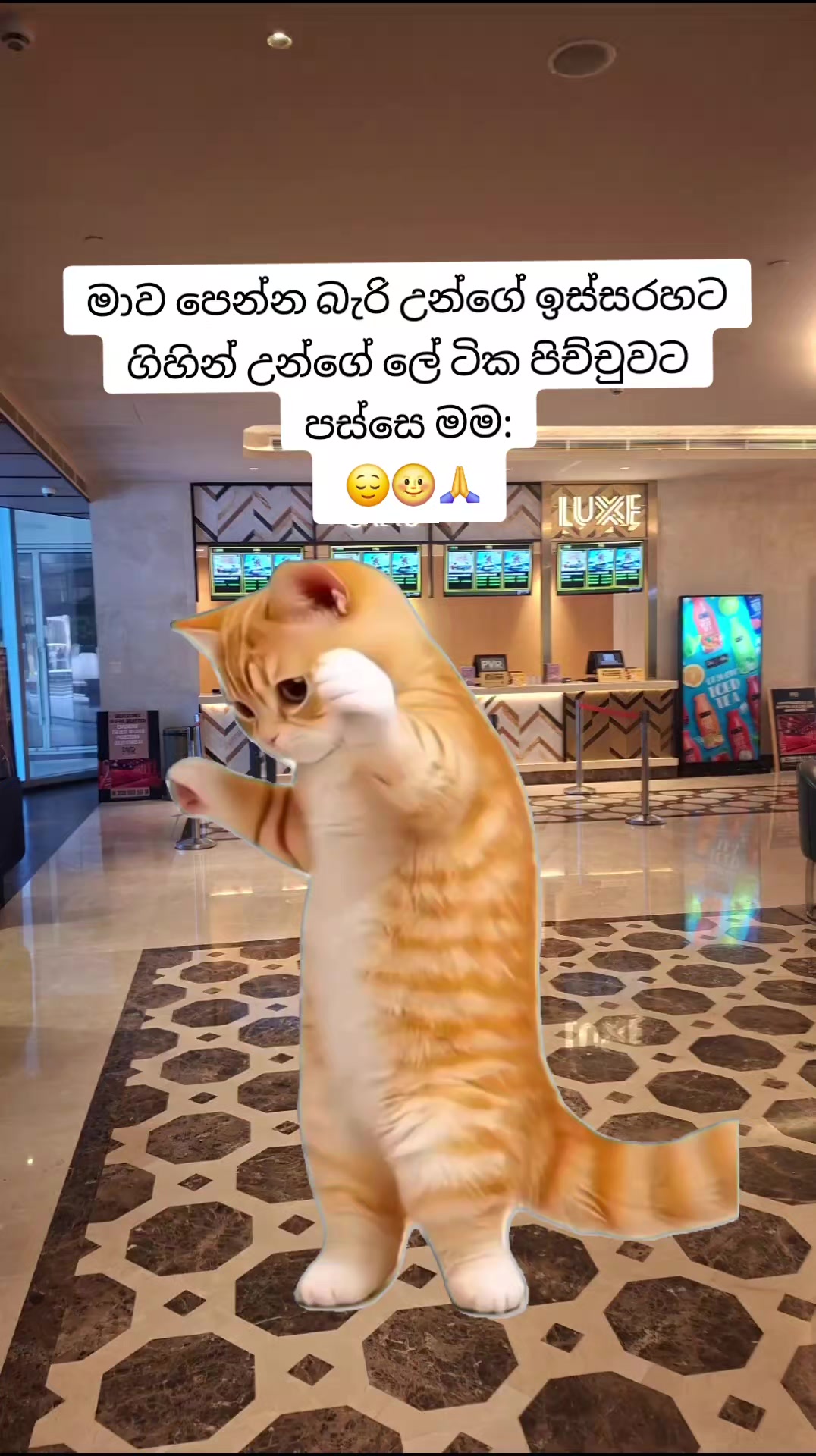 @Danu🎀🤍