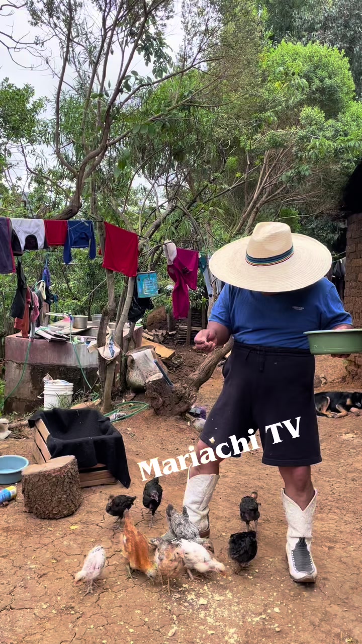 @mariachi TV