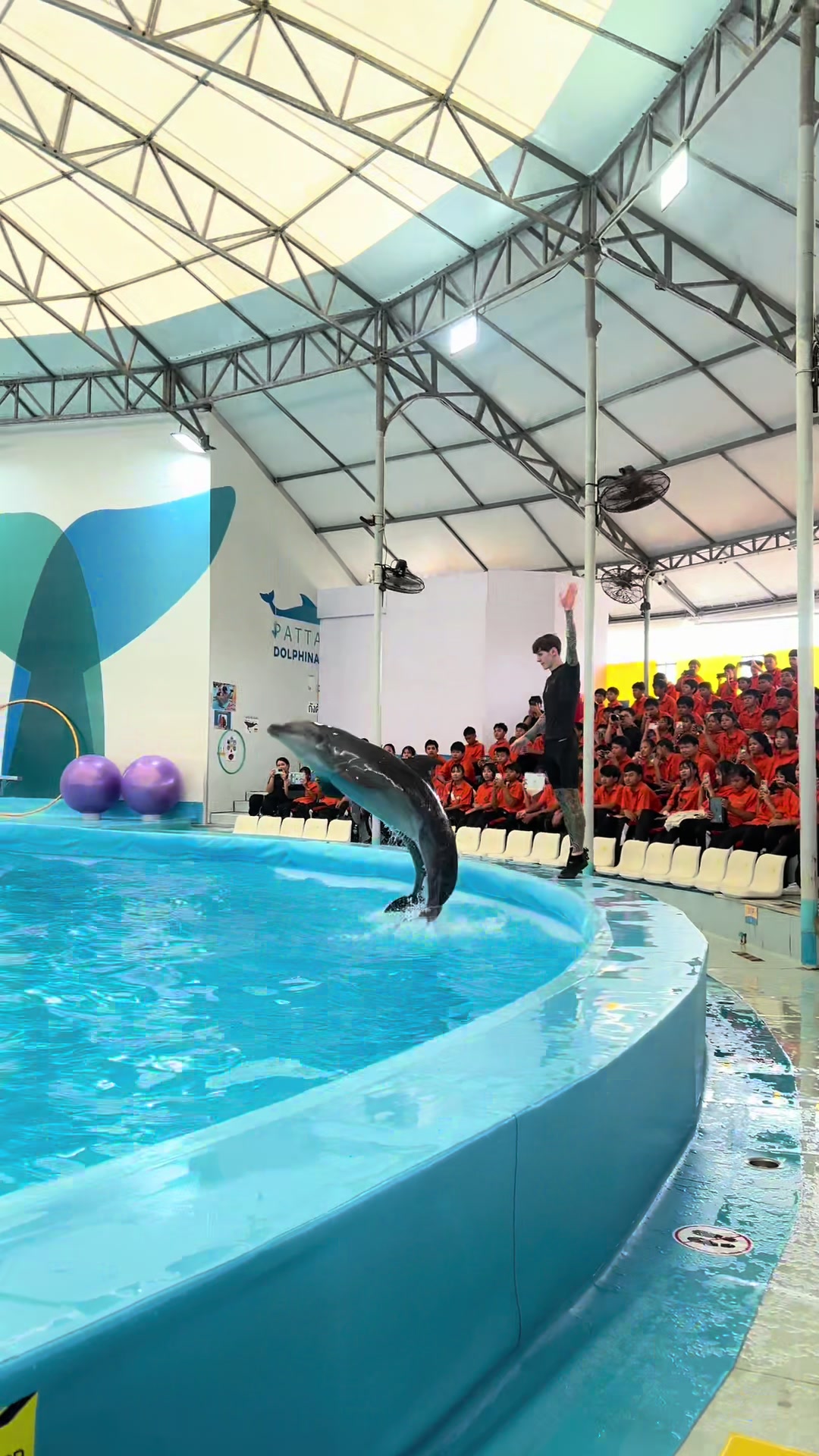 @Pattaya Dolphinarium