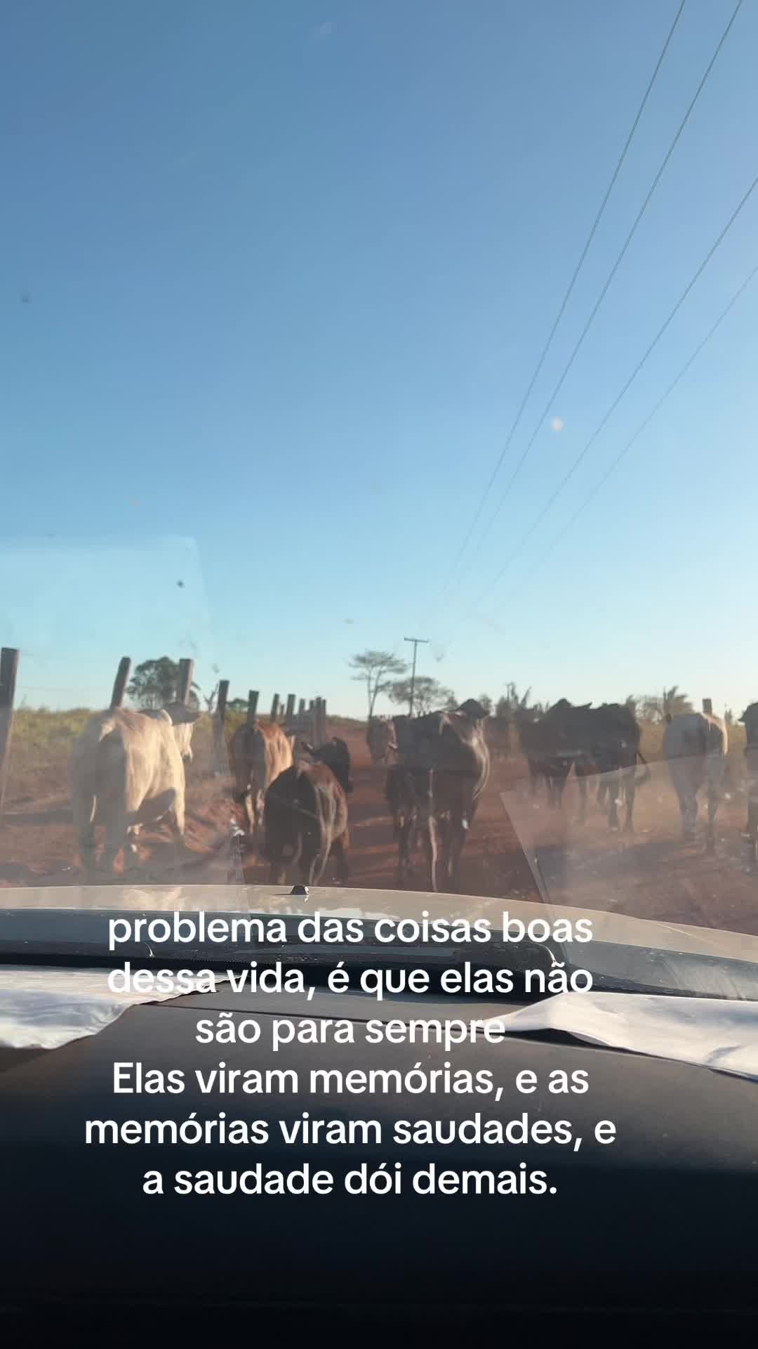 @Danipassos
