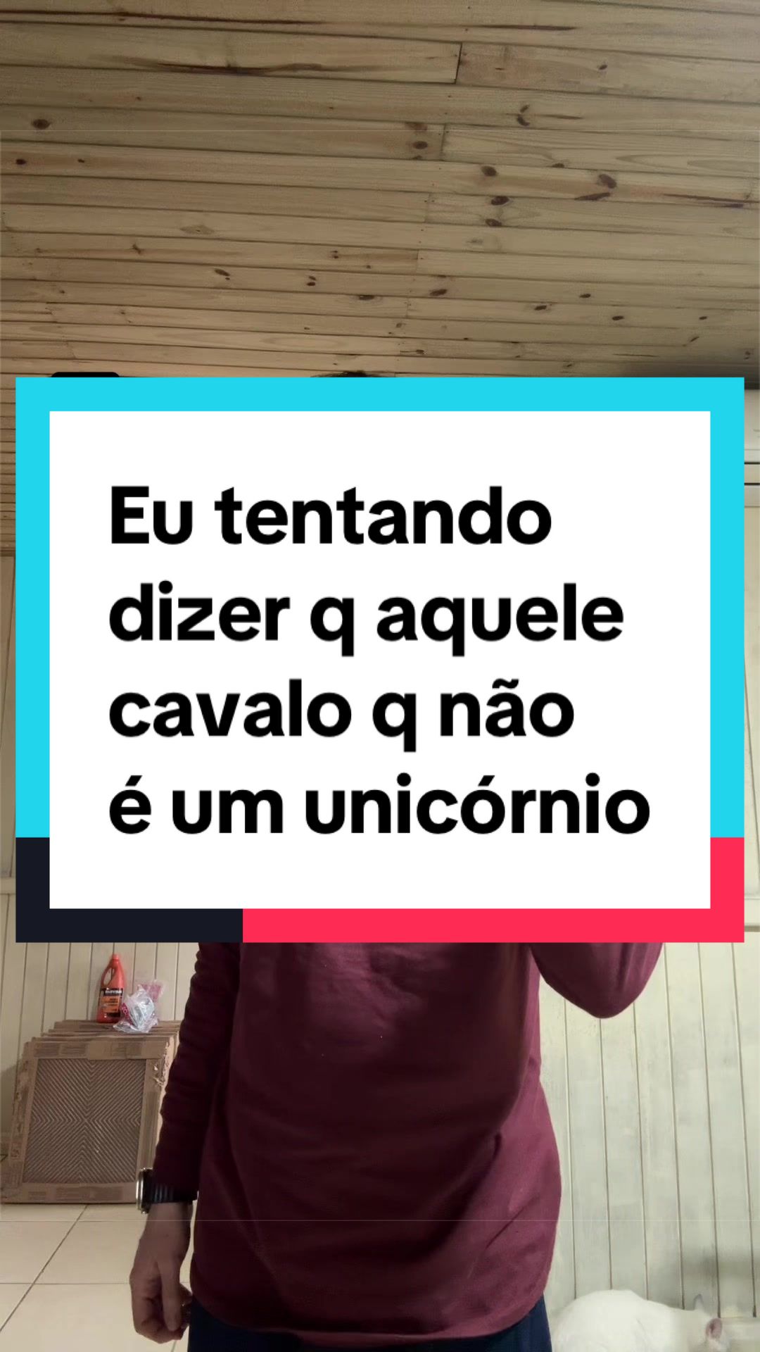 @Gabriel Hipolito Borges