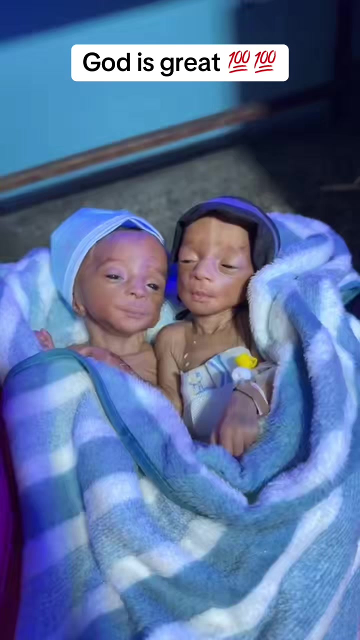 @𝓚𝓲𝓷𝓰 𝓸𝓯 𝓻𝓮𝓪𝓵𝓲𝓽𝔂