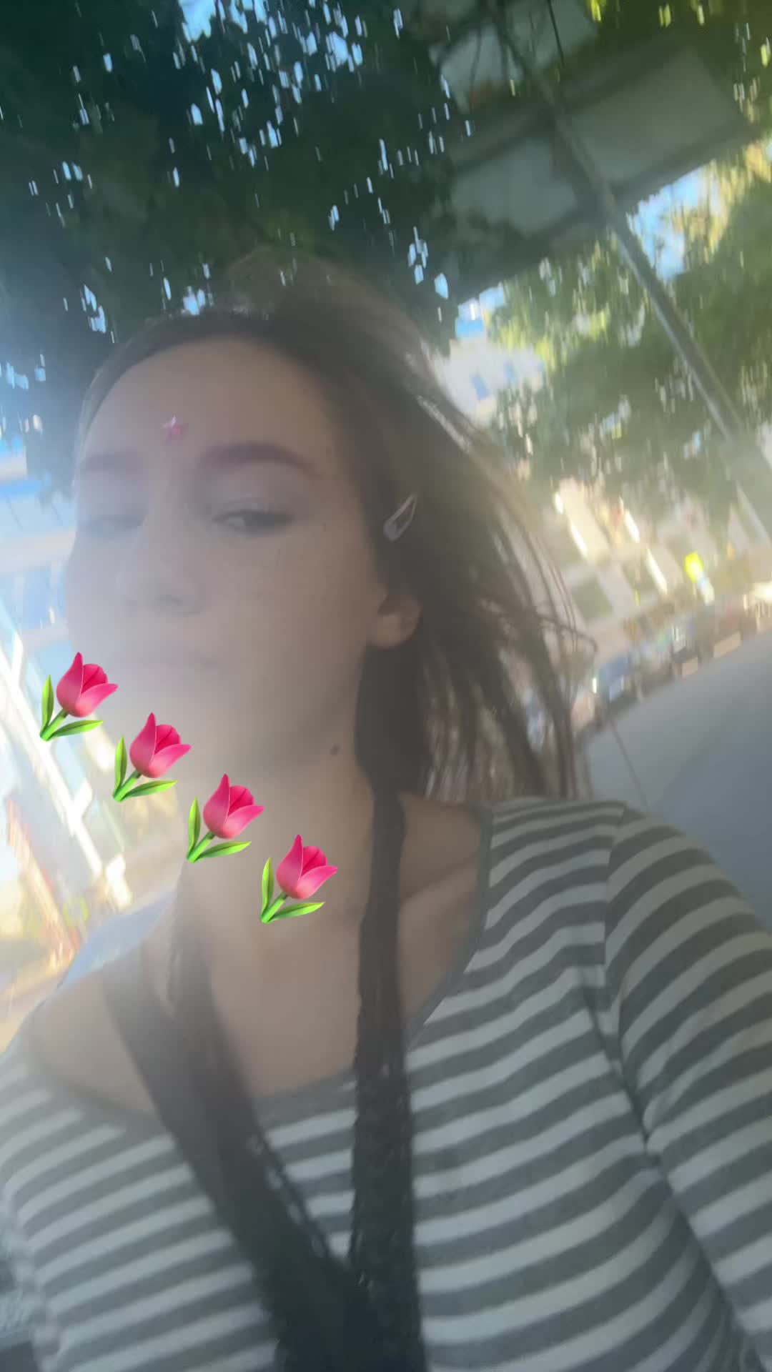 @zебра