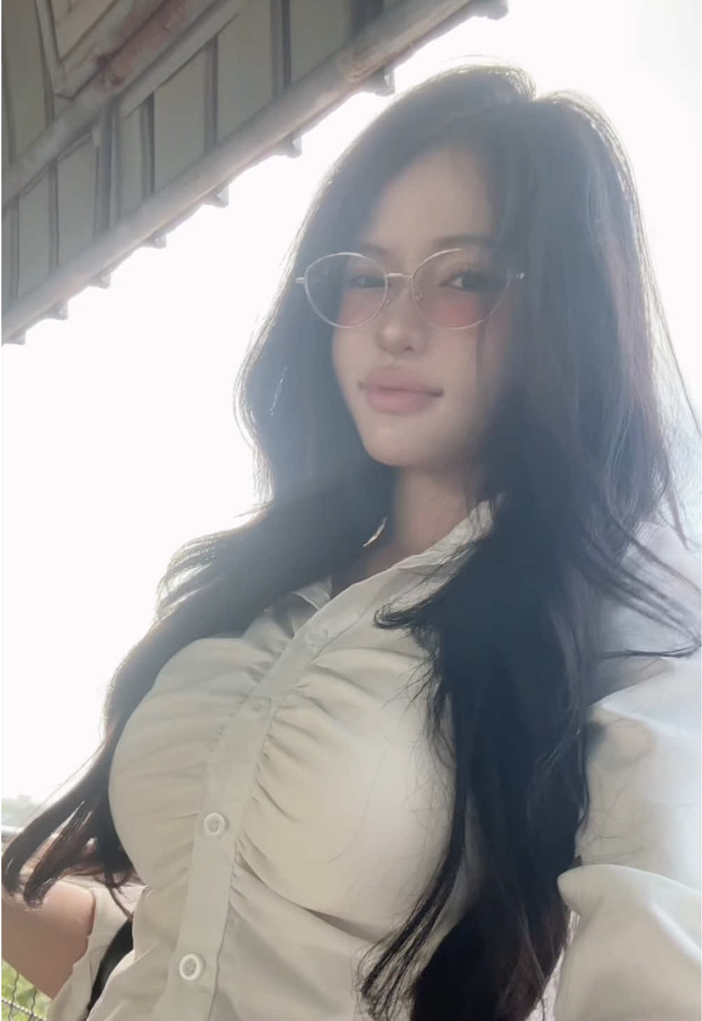 @Shiba.pw