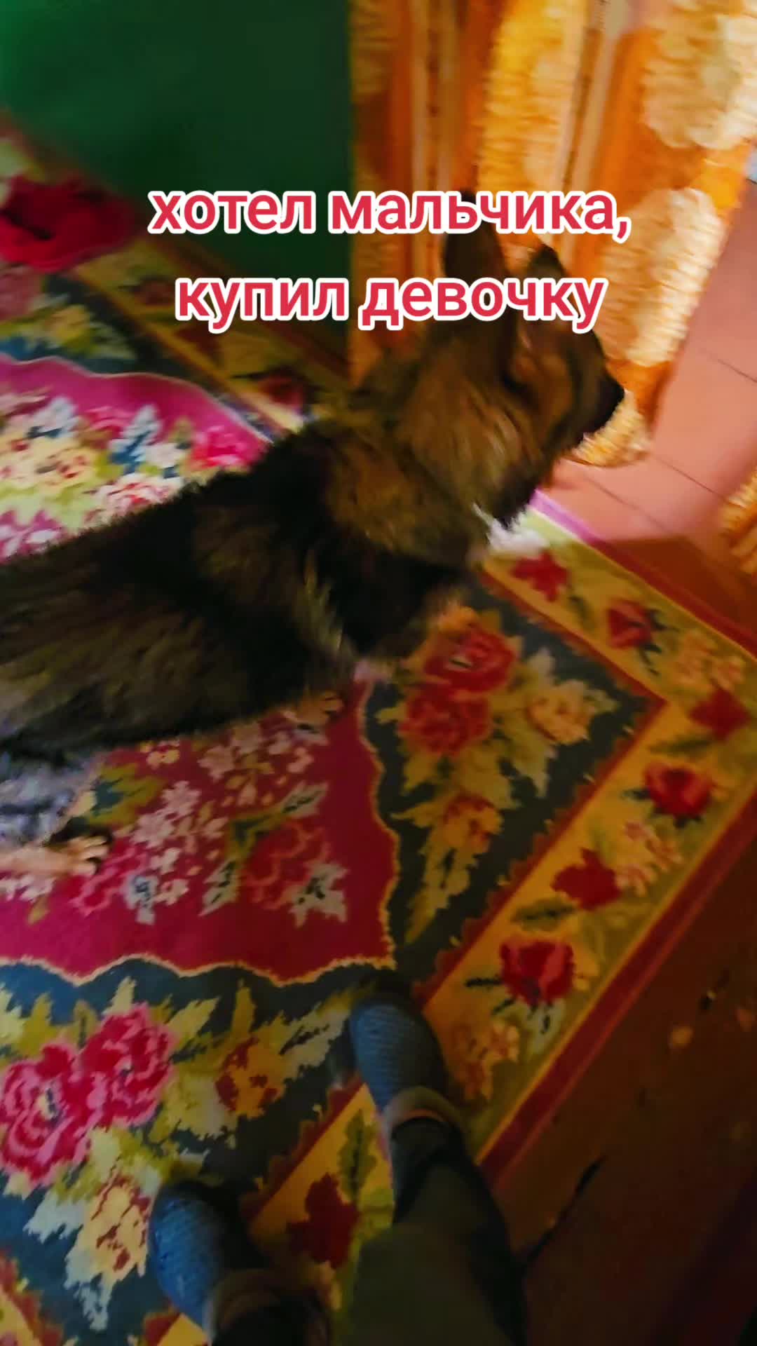 @виталя фартовый