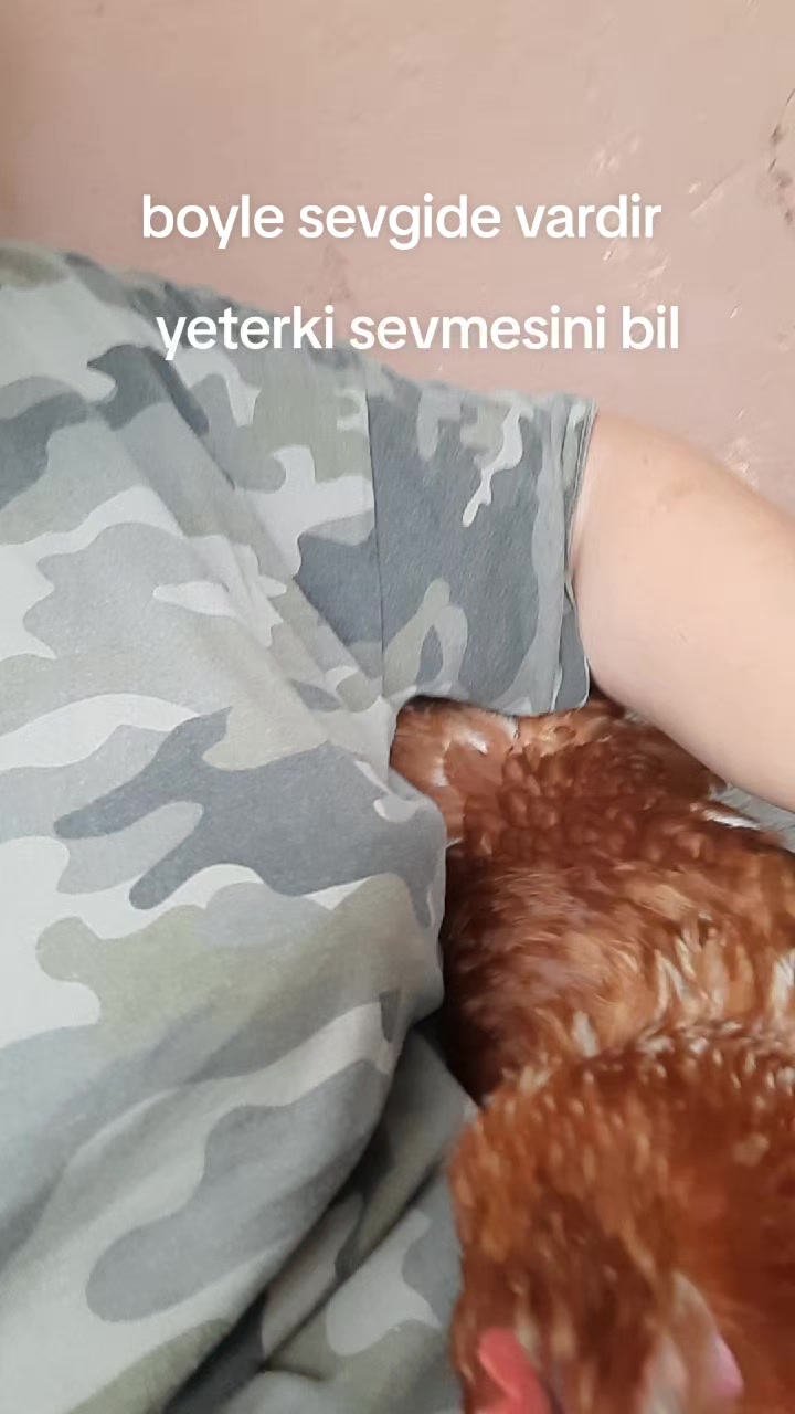 @asikurt