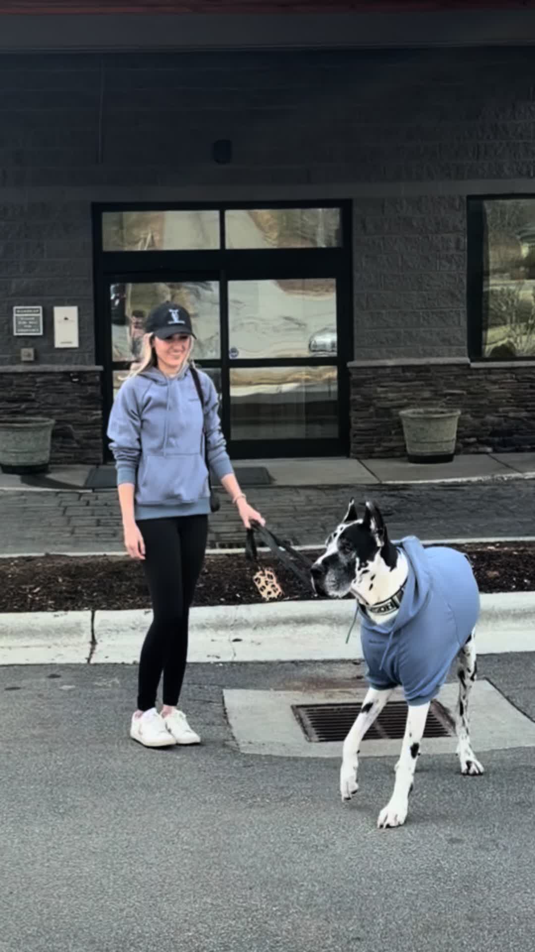 @Greyson the Great Dane