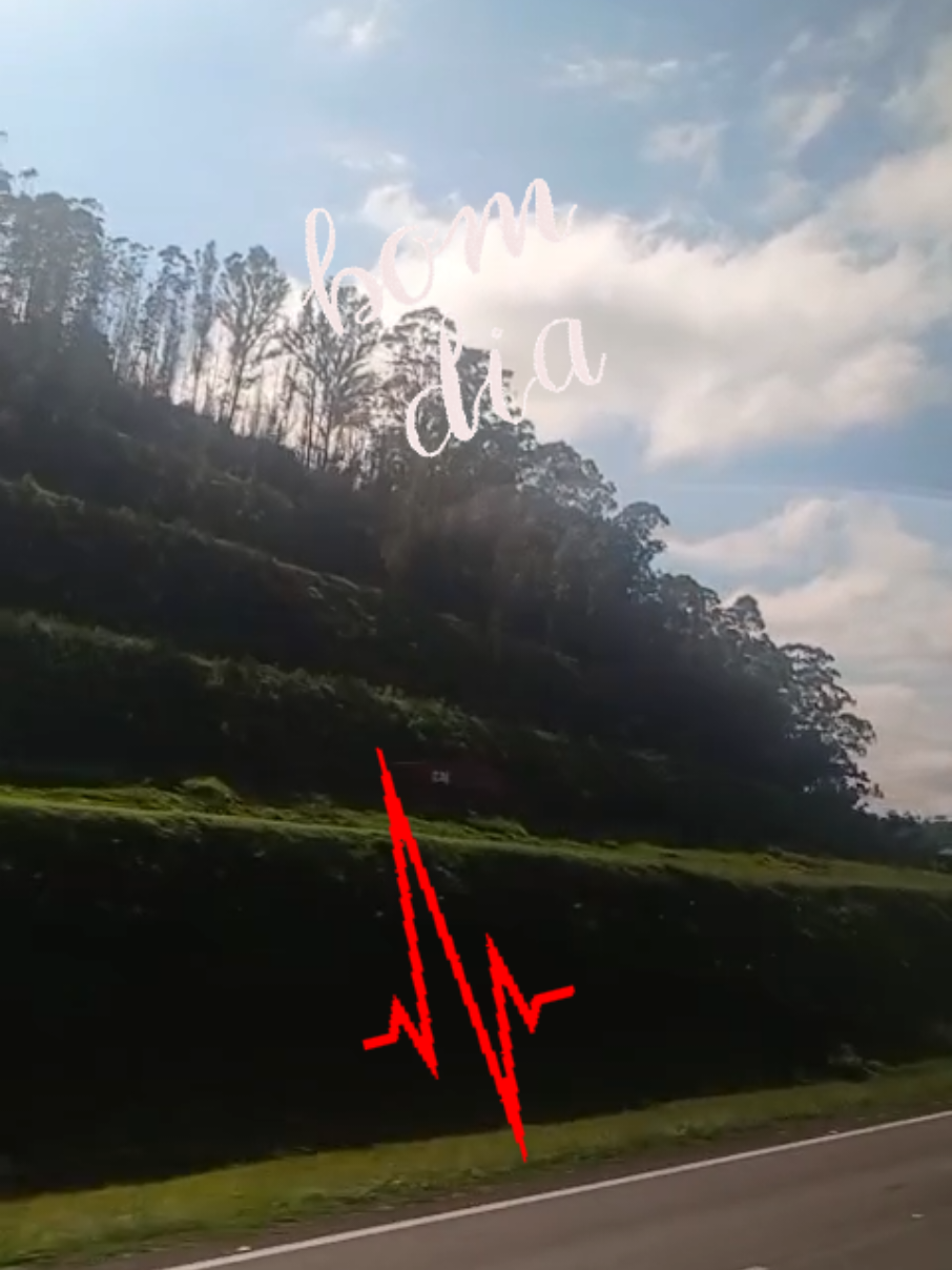 @Maria Ribeiro