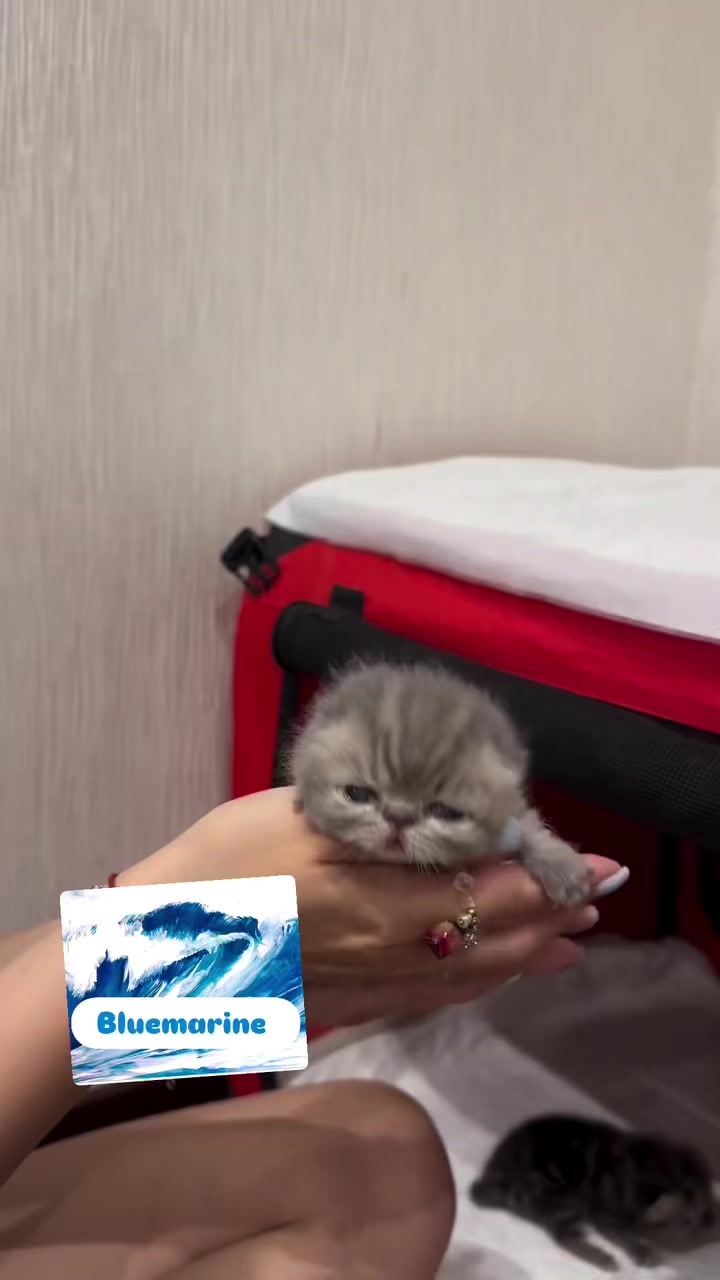 @.