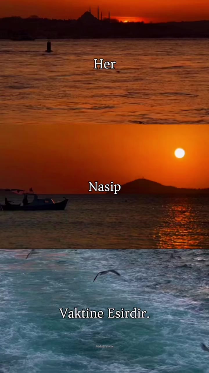 @Şabir