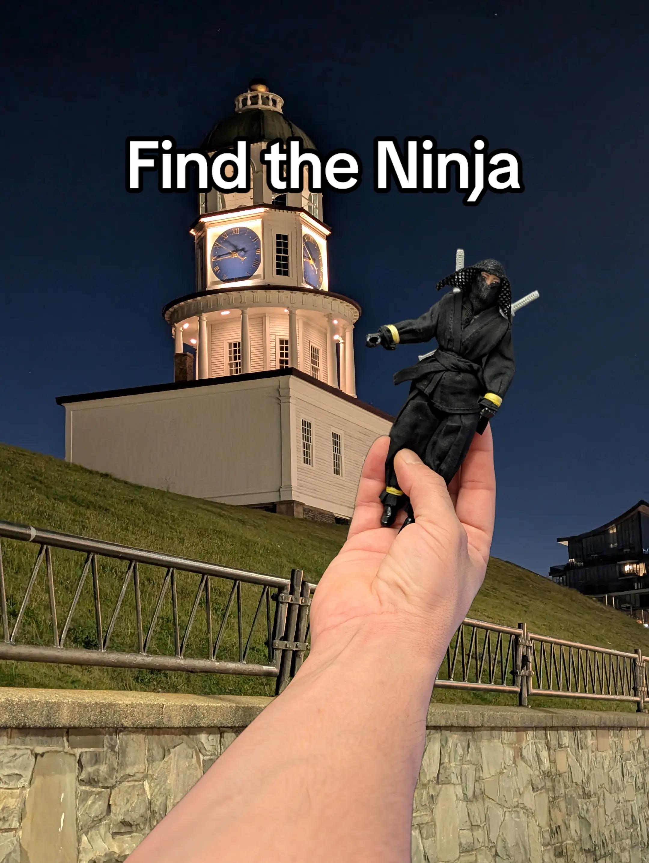 @SpotTheSneakyNinja