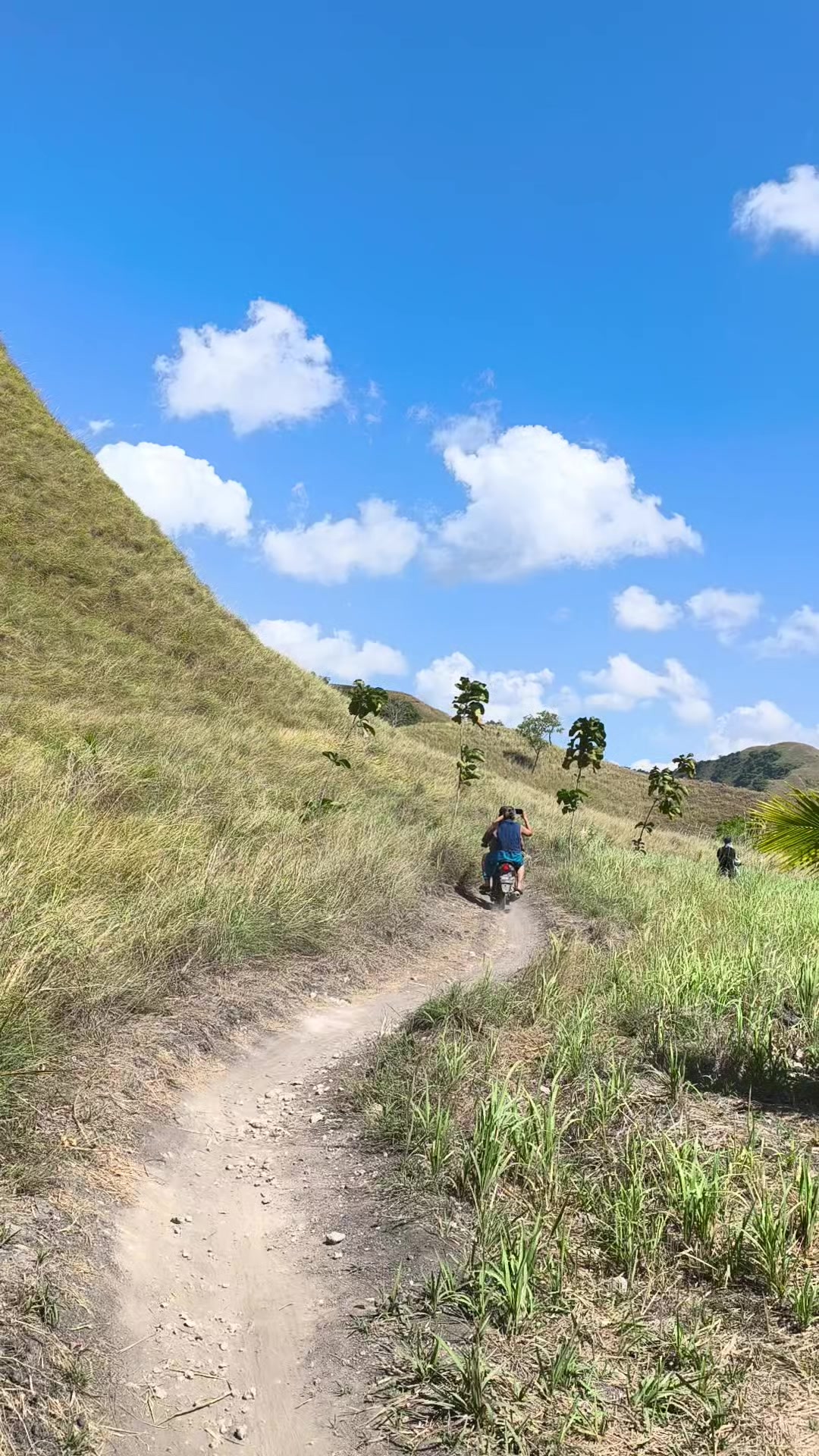 @Wonders Of sumba